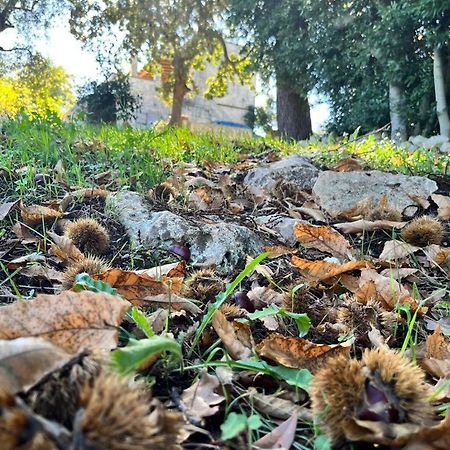 Il Trullo E Il Fortino 阿尔贝罗贝洛 外观 照片