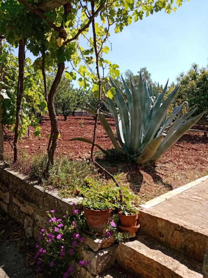 Il Trullo E Il Fortino 阿尔贝罗贝洛 外观 照片