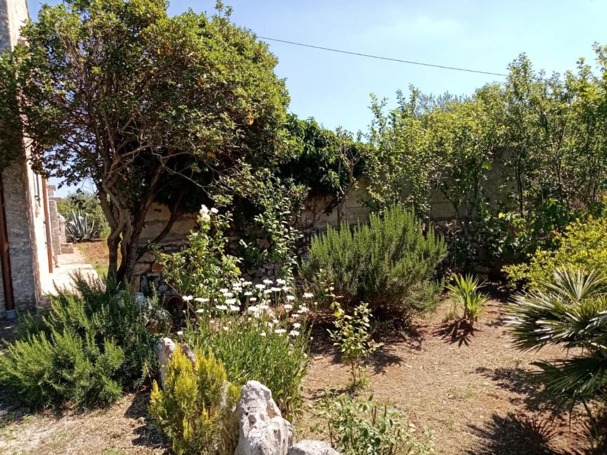 Il Trullo E Il Fortino 阿尔贝罗贝洛 外观 照片