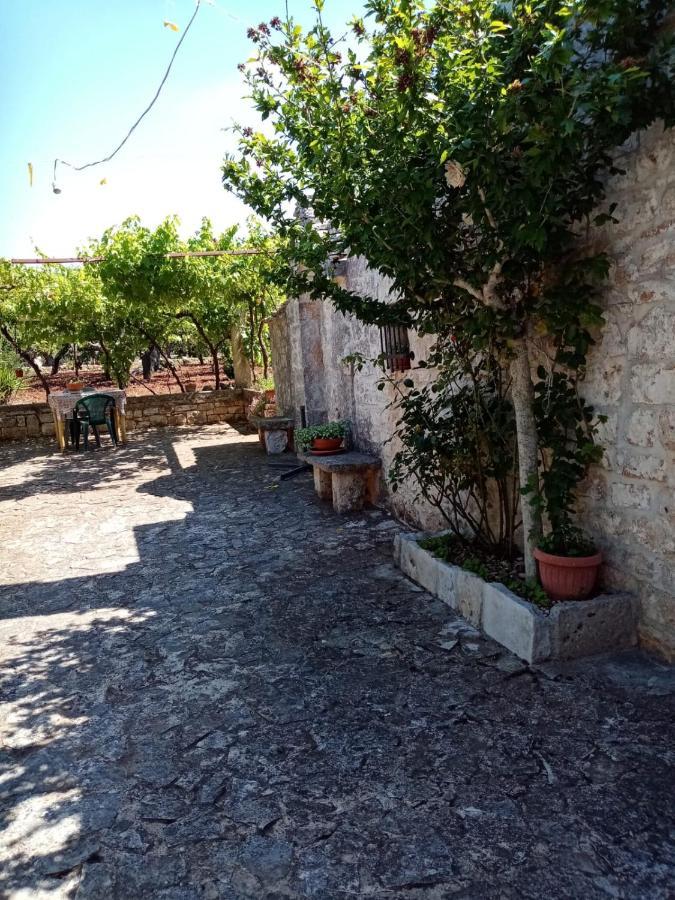 Il Trullo E Il Fortino 阿尔贝罗贝洛 外观 照片