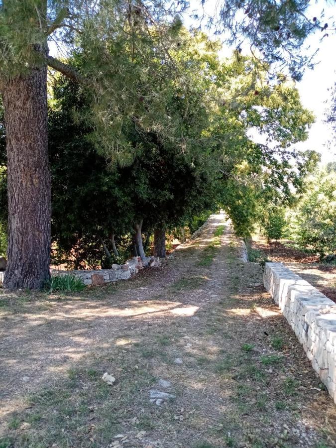 Il Trullo E Il Fortino 阿尔贝罗贝洛 外观 照片