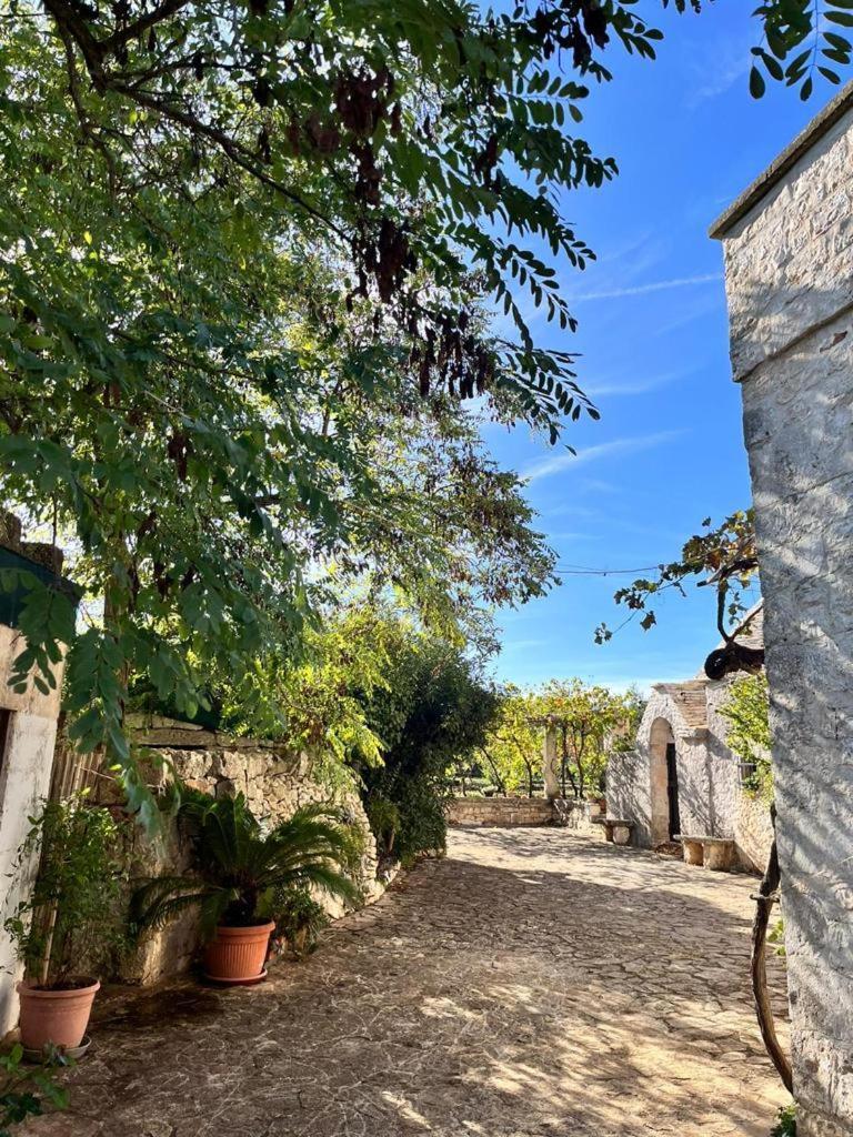 Il Trullo E Il Fortino 阿尔贝罗贝洛 外观 照片