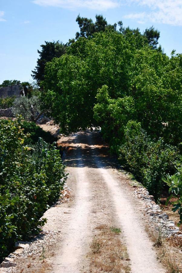 Il Trullo E Il Fortino 阿尔贝罗贝洛 外观 照片